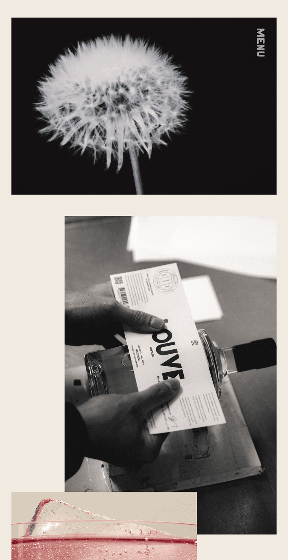 Louve Spirits website