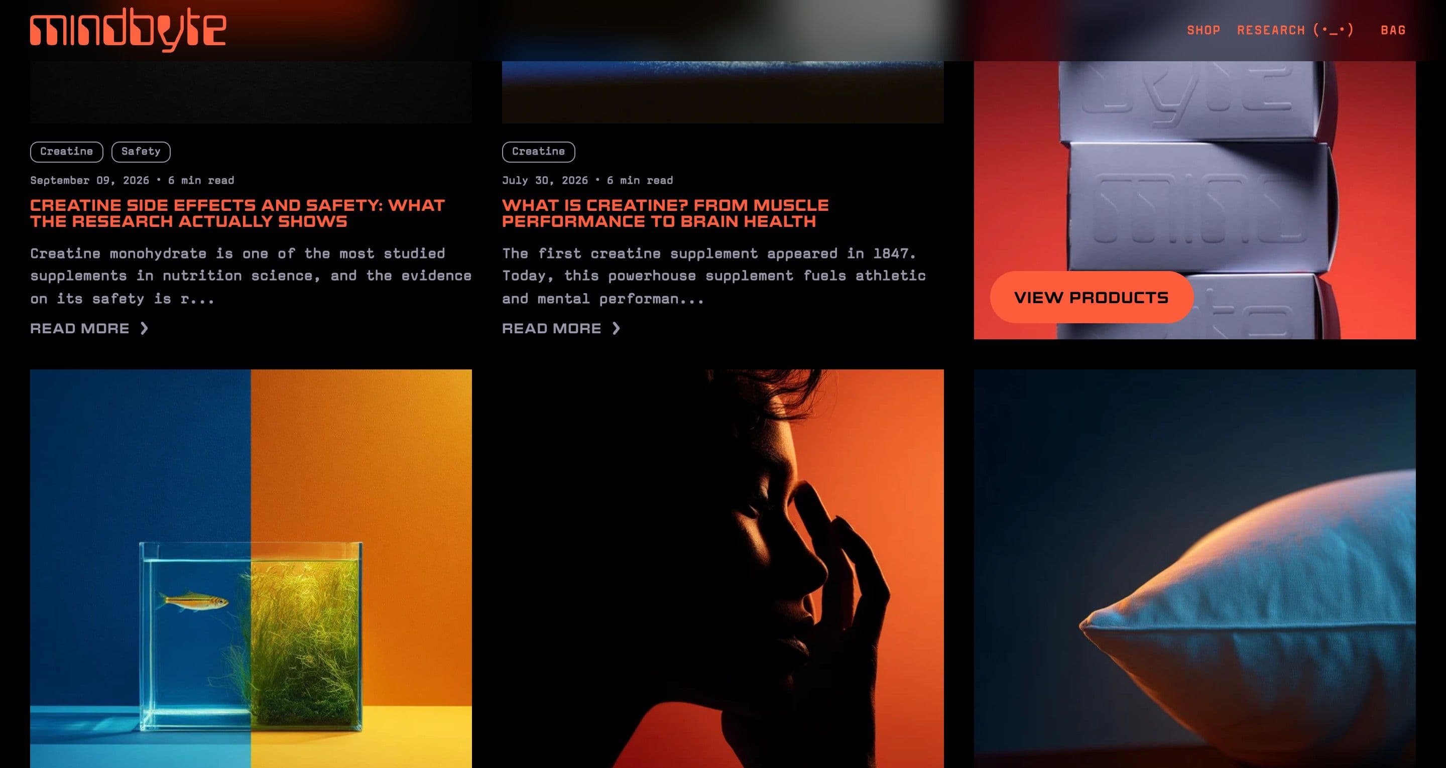 The research page on mindbyte.com, a fish in a split blue and orange aquarium among bold article images